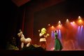 Shrek - O Espetáculo