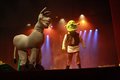 Shrek - O Espetáculo