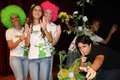 Shrek - O Espetáculo