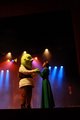 Shrek - O Espetáculo